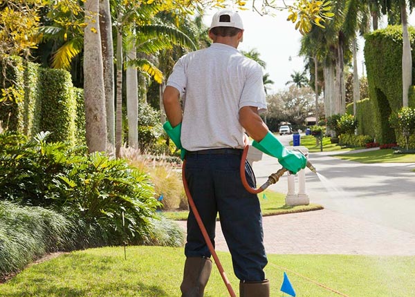 About Livingston MT Pest Control
